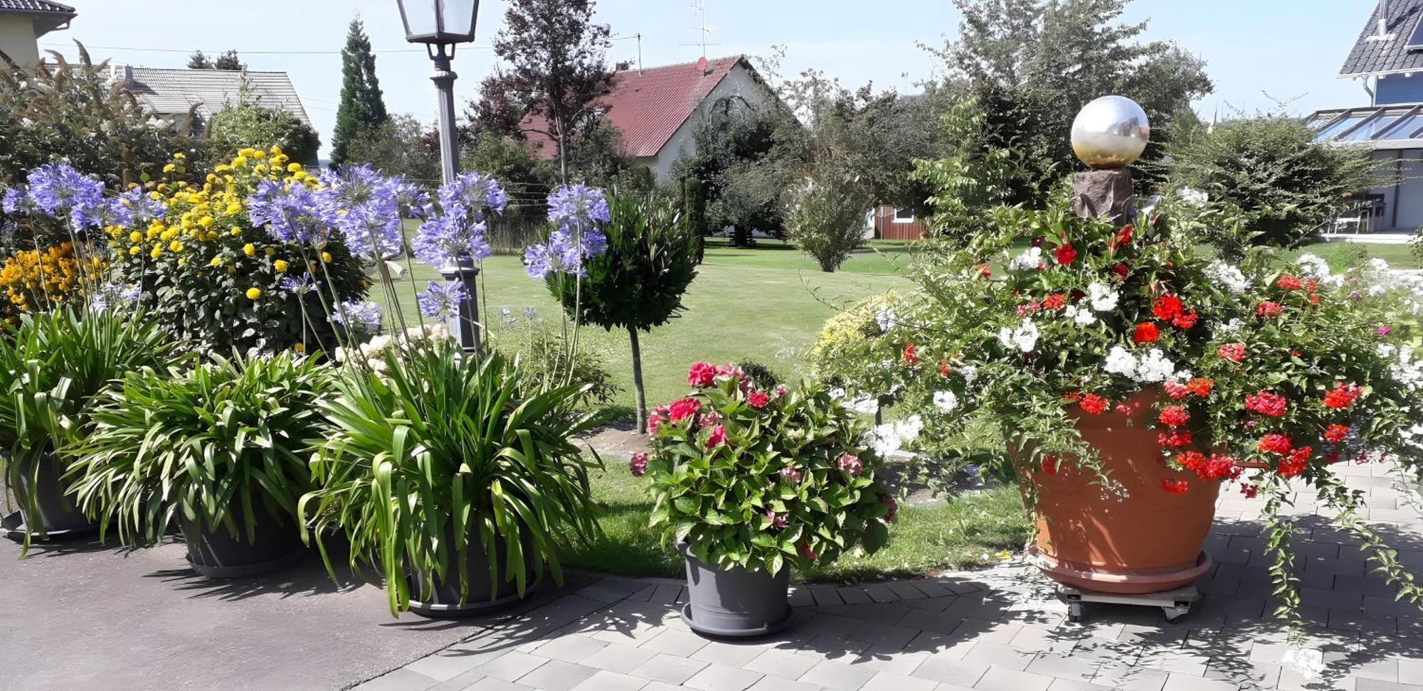 Feriendomizil Berta Benzingen Apartment Winterlingen Ngoại thất bức ảnh